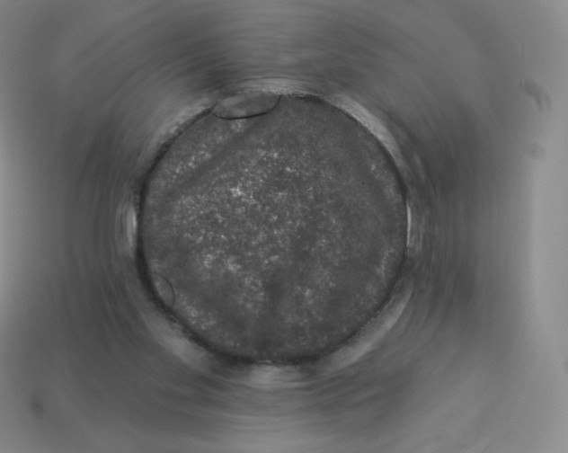 X0000113280109200910131014