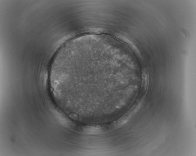 X0000113280110200910131014