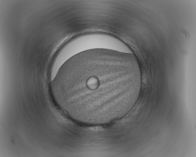 X0000113280112200910131014