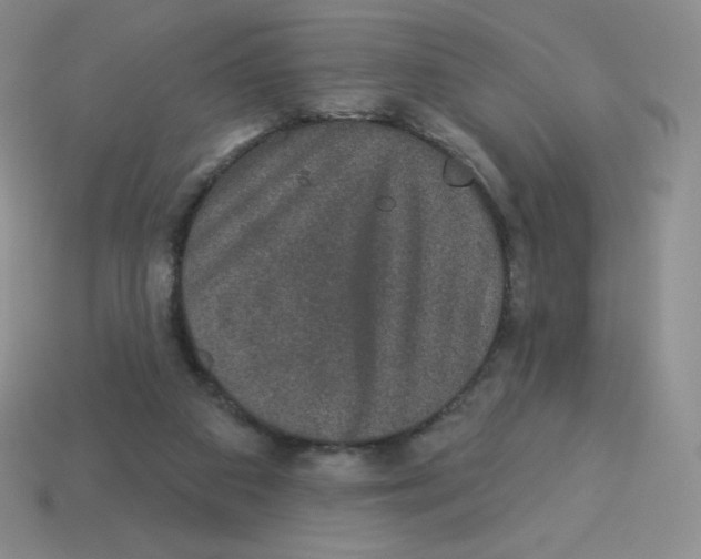 X0000113280113200910131014