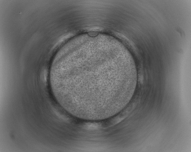 X0000113280115200910131013