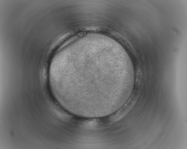 X0000113280116200910131013