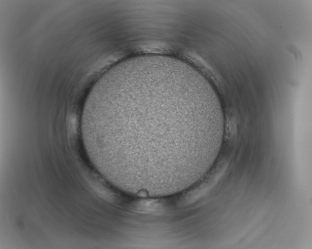 X0000113280117200910131013