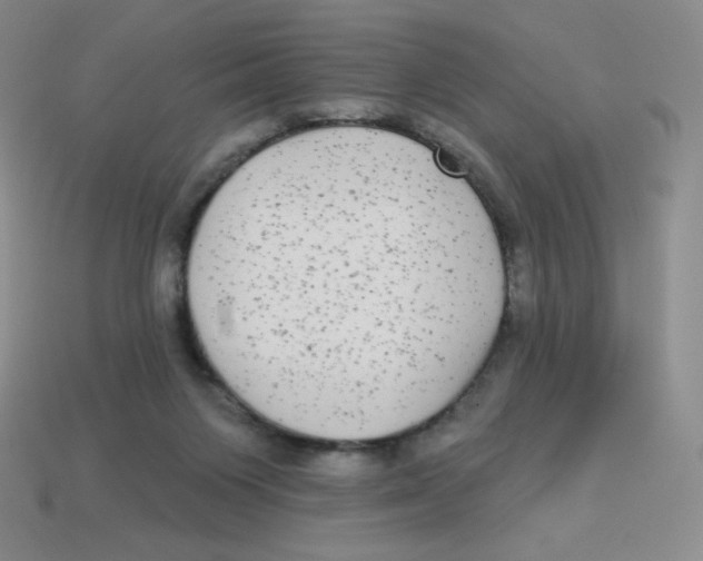 X0000113280119200910131013