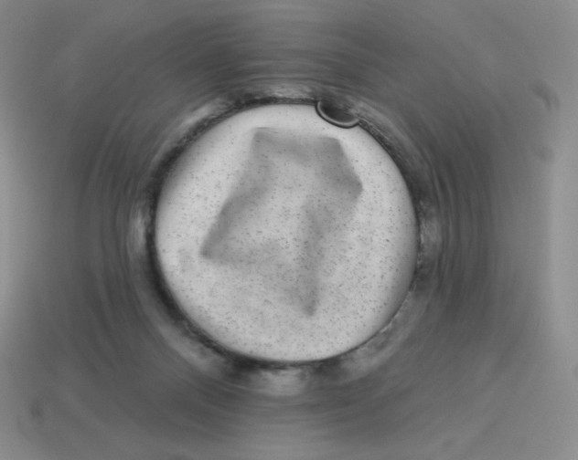 X0000113280120200910131013