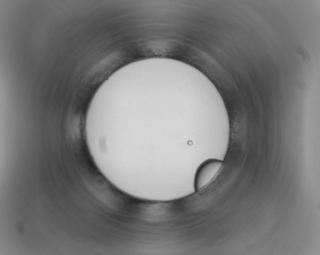 X0000113280122200910131013