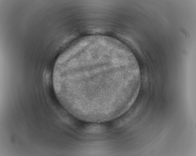 X0000113280123200910131013