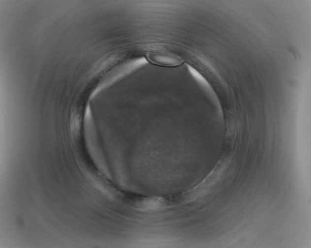 X0000113280124200910131013