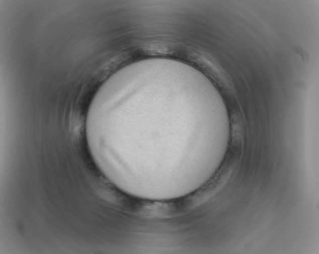X0000113280125200910131013