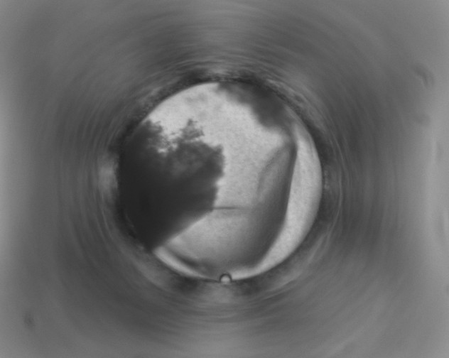 X0000113280127200910131013