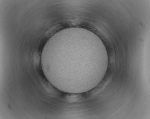 X0000113280129200910131013