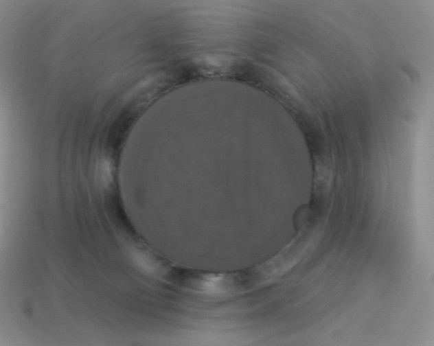 X0000113280130200910131013