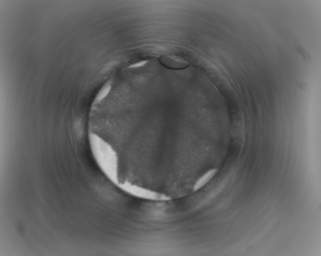 X0000113280131200910131013