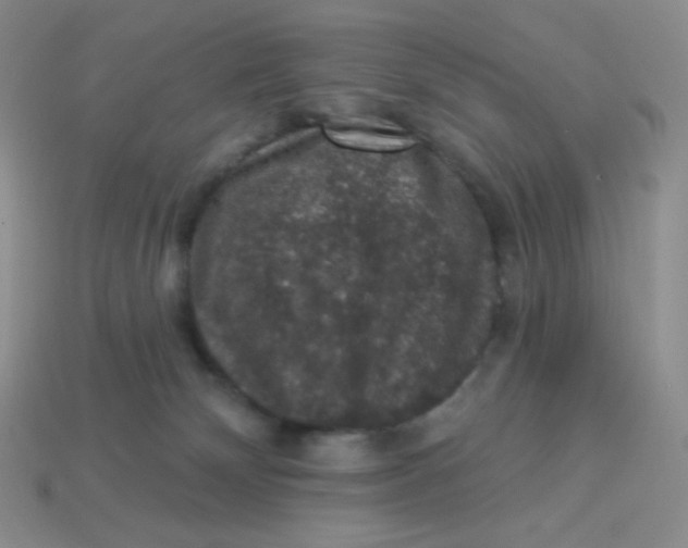 X0000113280132200910131013