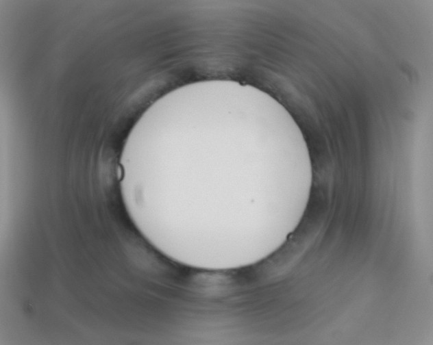 X0000113280133200910131013