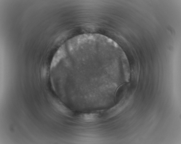 X0000113280134200910131013