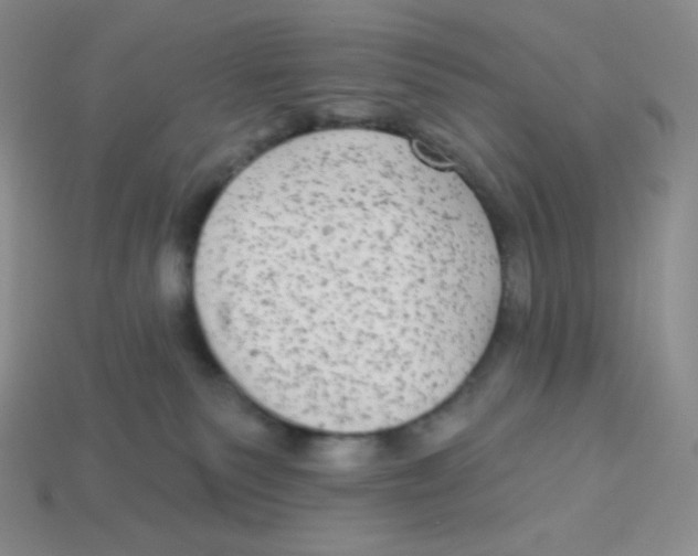 X0000113280135200910131013