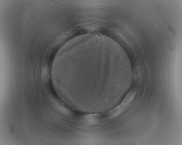 X0000113280136200910131013