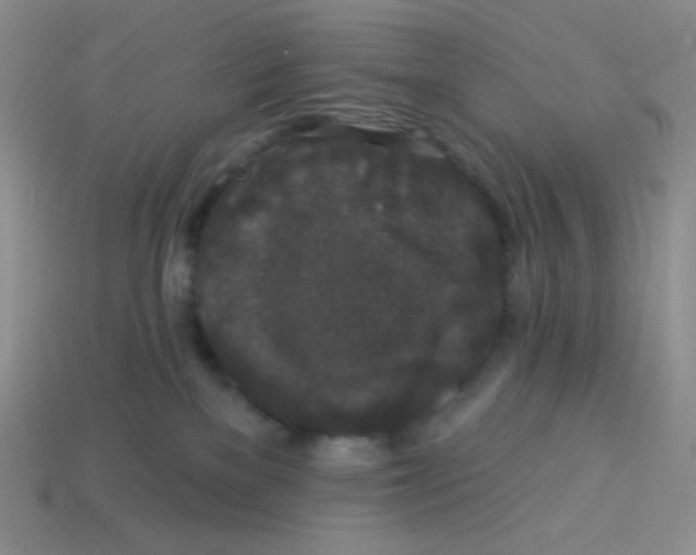 X0000113280137200910131013