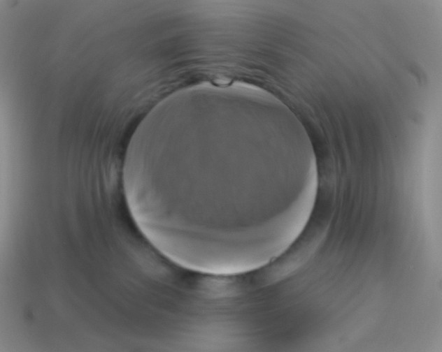 X0000113280139200910131013