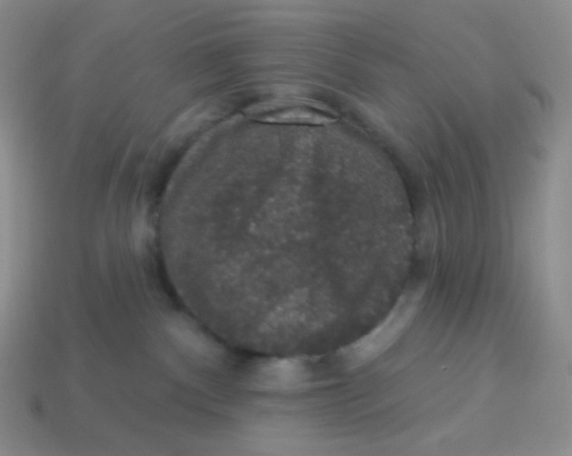 X0000113280140200910131013