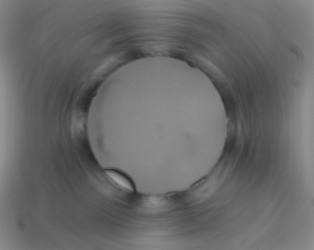 X0000113280141200910131013