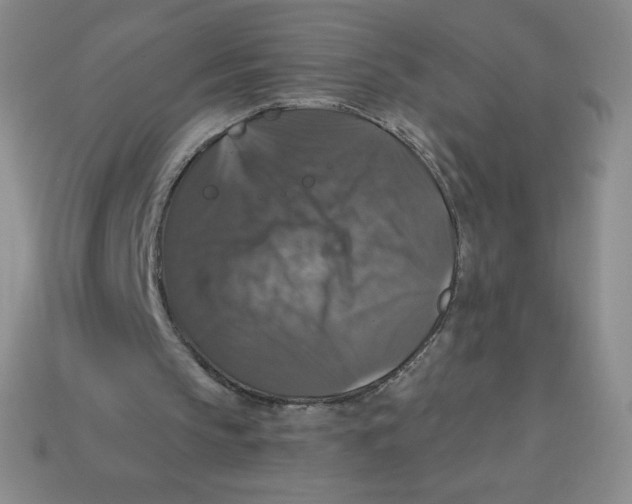 X0000113280145200910131012