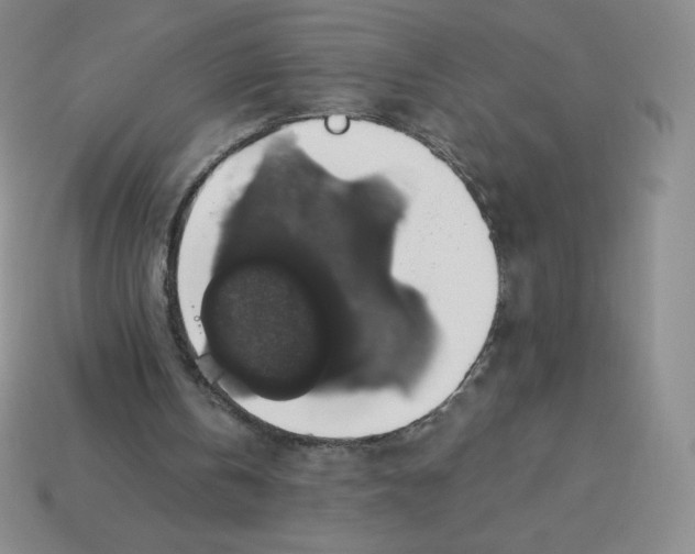 X0000113280146200910131012