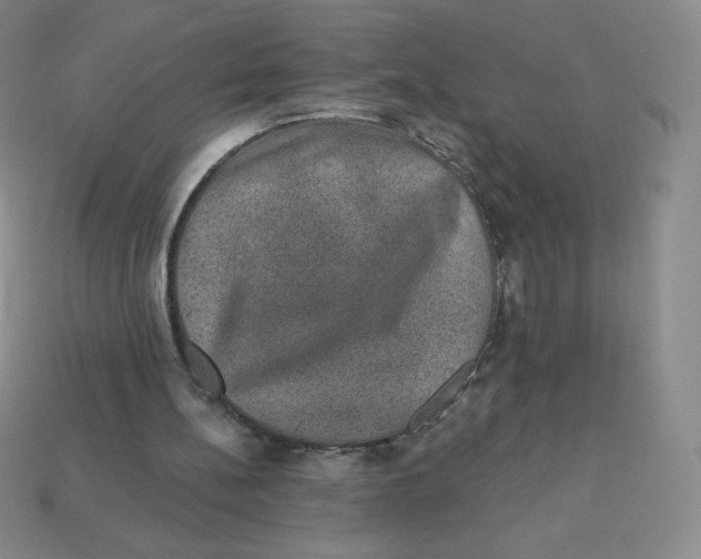 X0000113280148200910131012