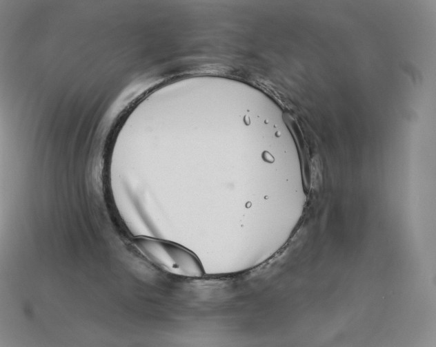 X0000113280150200910131012