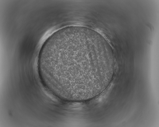 X0000113280151200910131012
