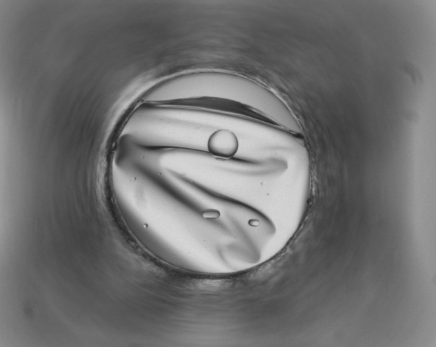 X0000113280152200910131012