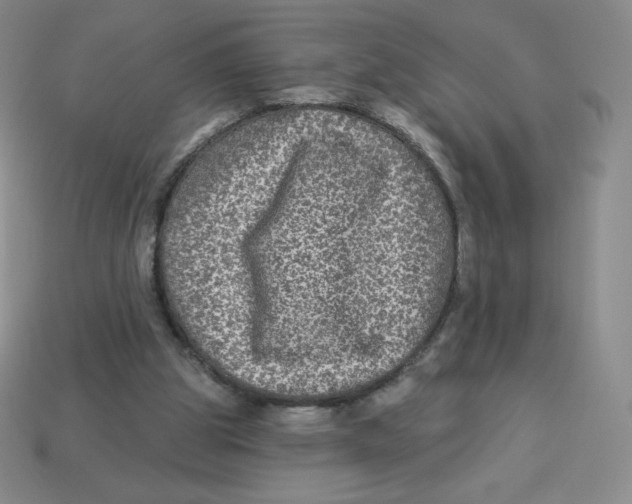 X0000113280153200910131012
