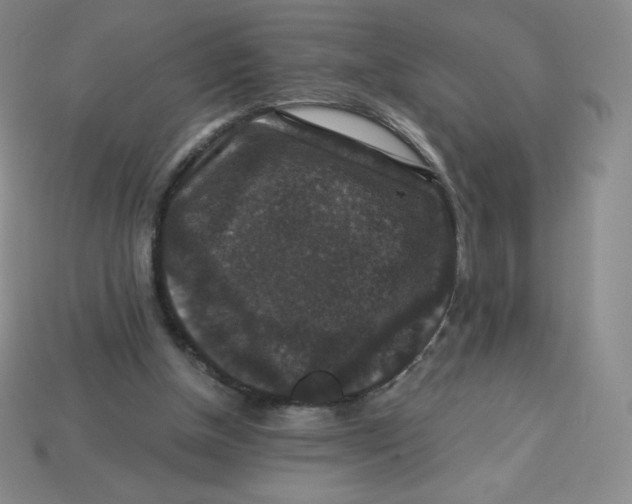X0000113280154200910131012