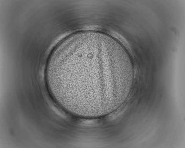 X0000113280155200910131012