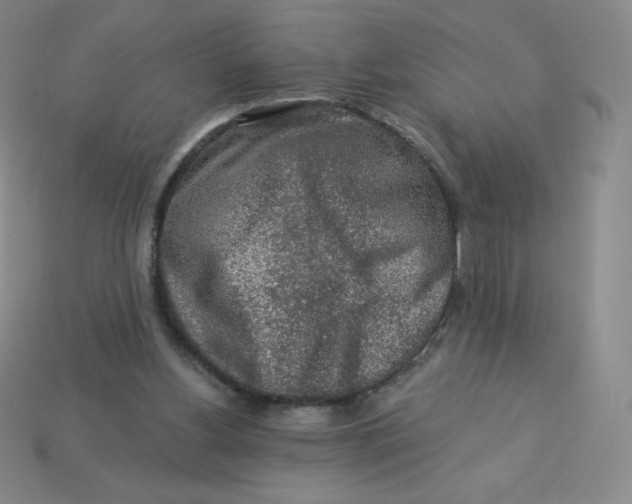 X0000113280156200910131012