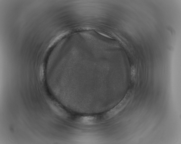 X0000113280158200910131012