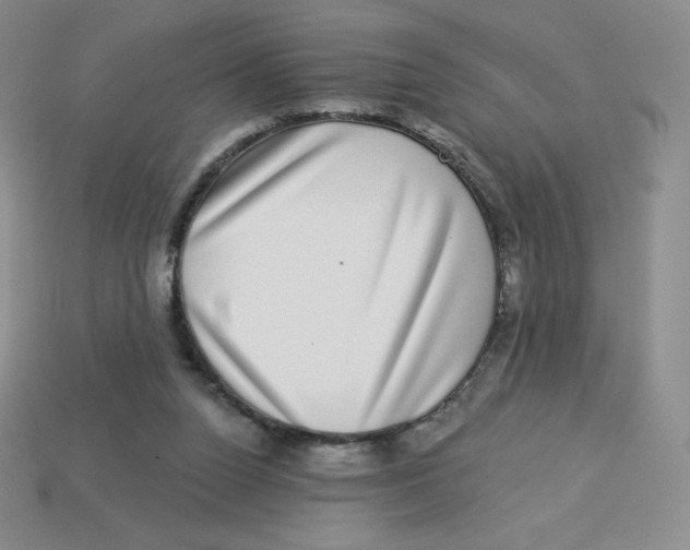 X0000113280160200910131012
