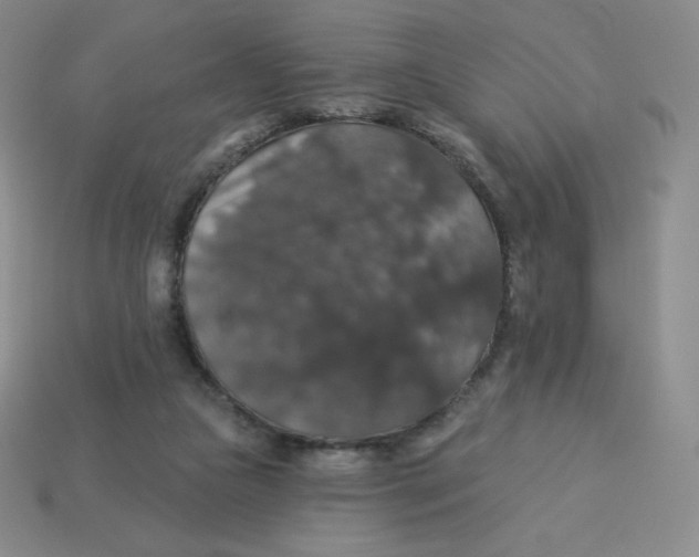 X0000113280161200910131012