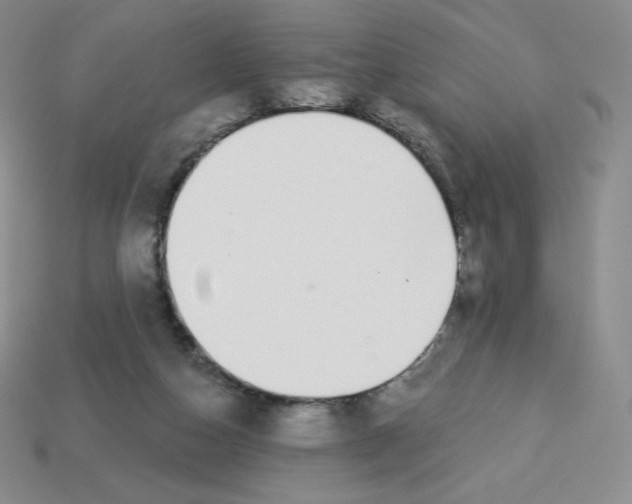 X0000113280162200910131012
