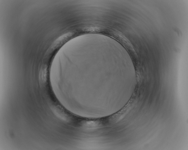 X0000113280163200910131012