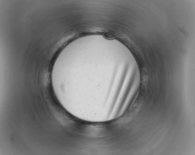 X0000113280164200910131013