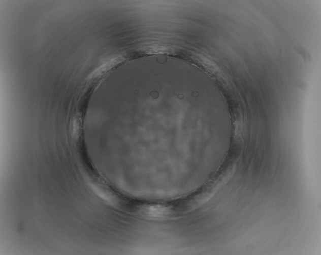 X0000113280165200910131013