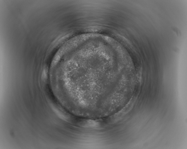 X0000113280166200910131013
