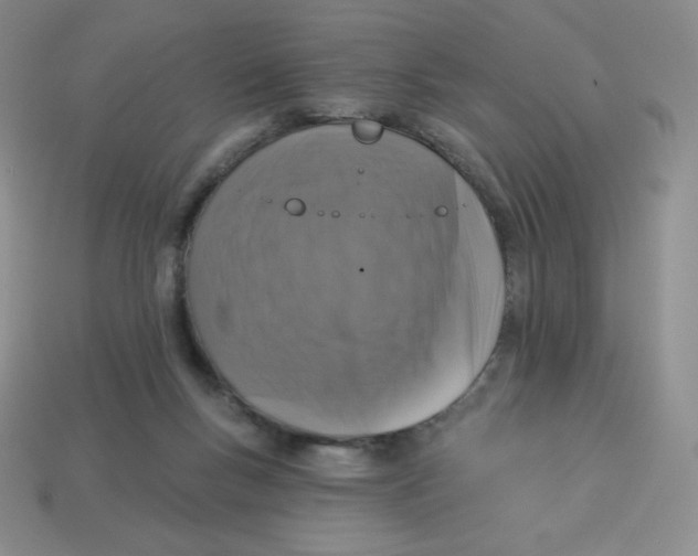 X0000113280167200910131013