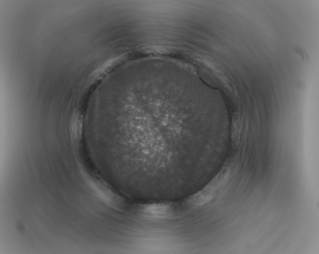 X0000113280168200910131013