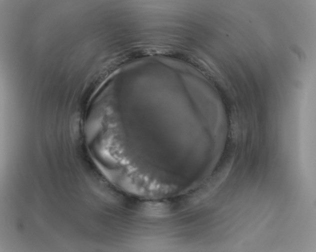 X0000113280169200910131013