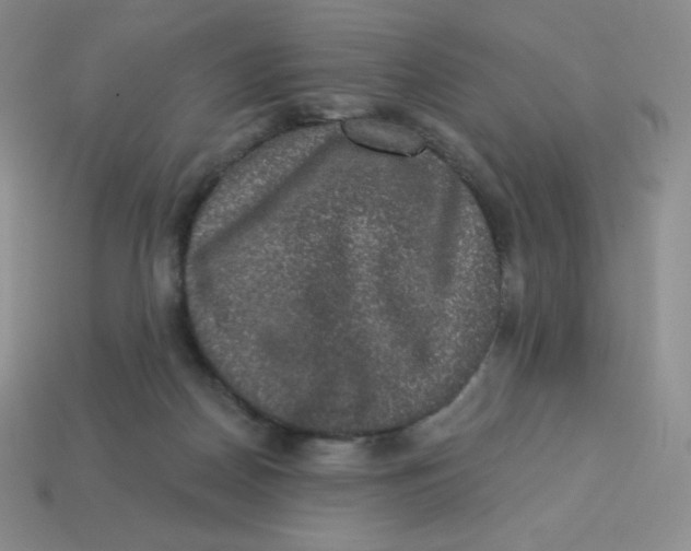 X0000113280170200910131013