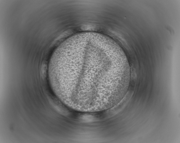 X0000113280171200910131013