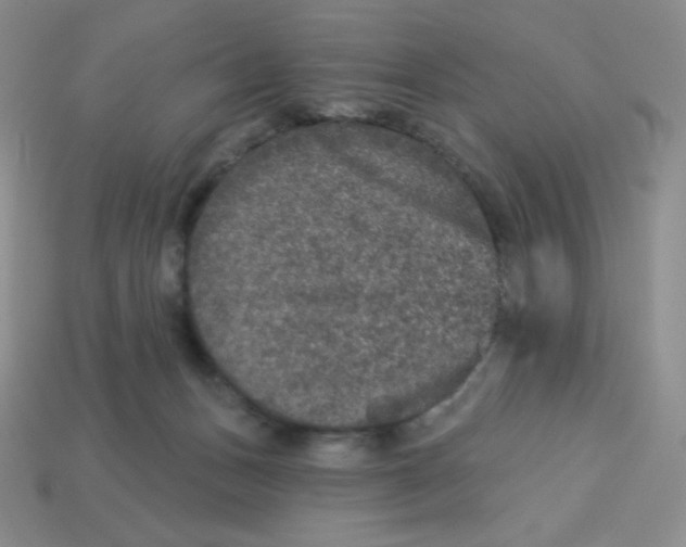 X0000113280175200910131013